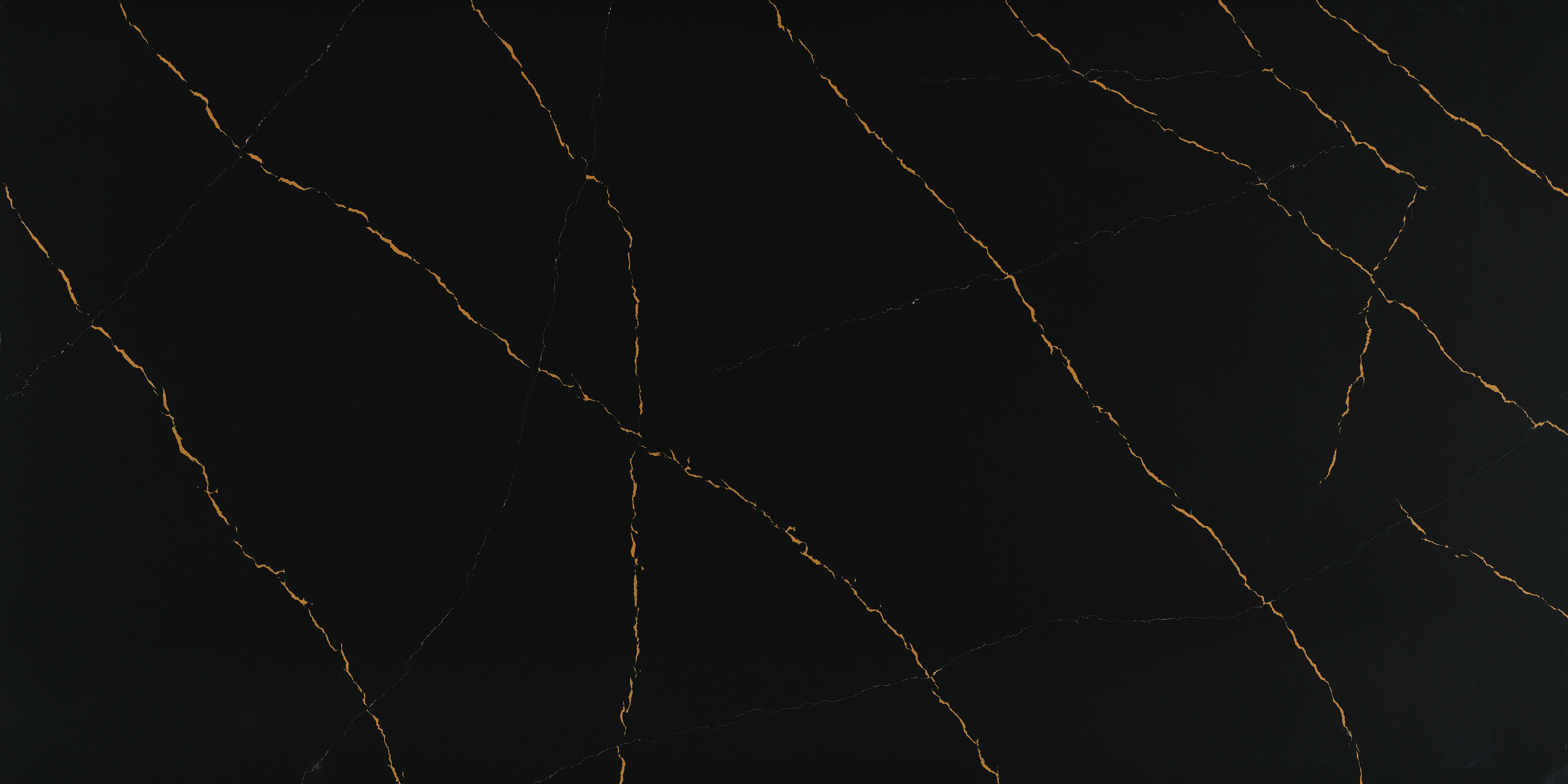 TCE 2050 Nero Dorato